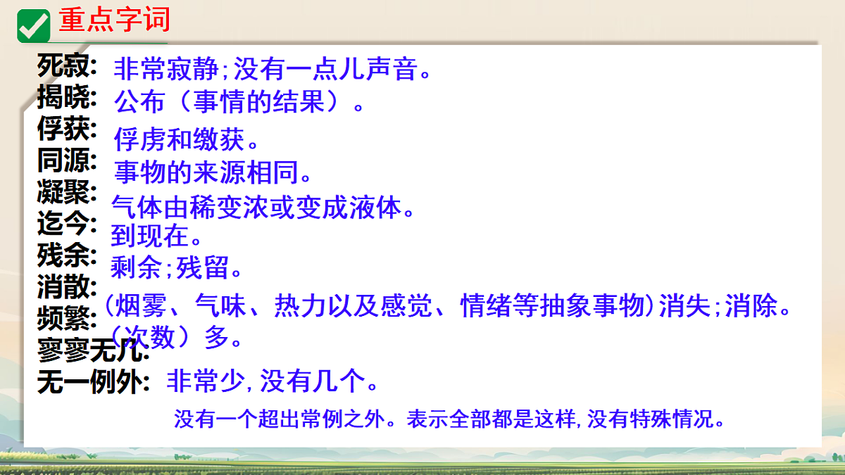 18262846第7页