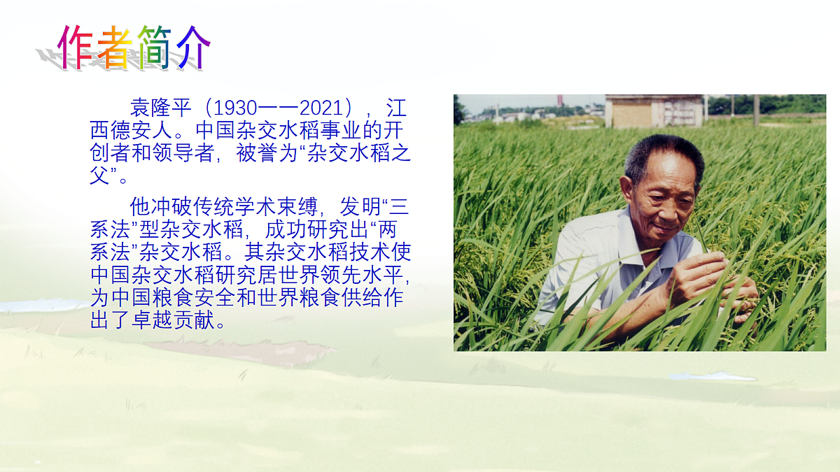 18262848第3页