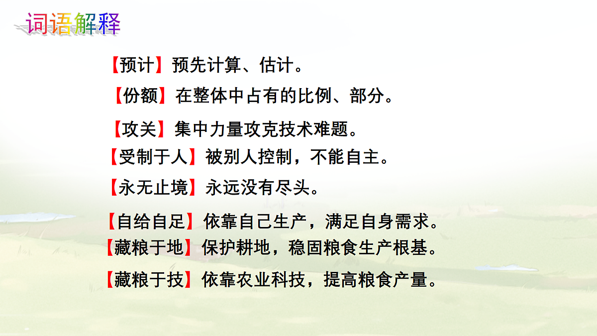 18262848第5页