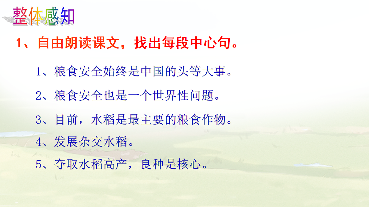 18262848第8页