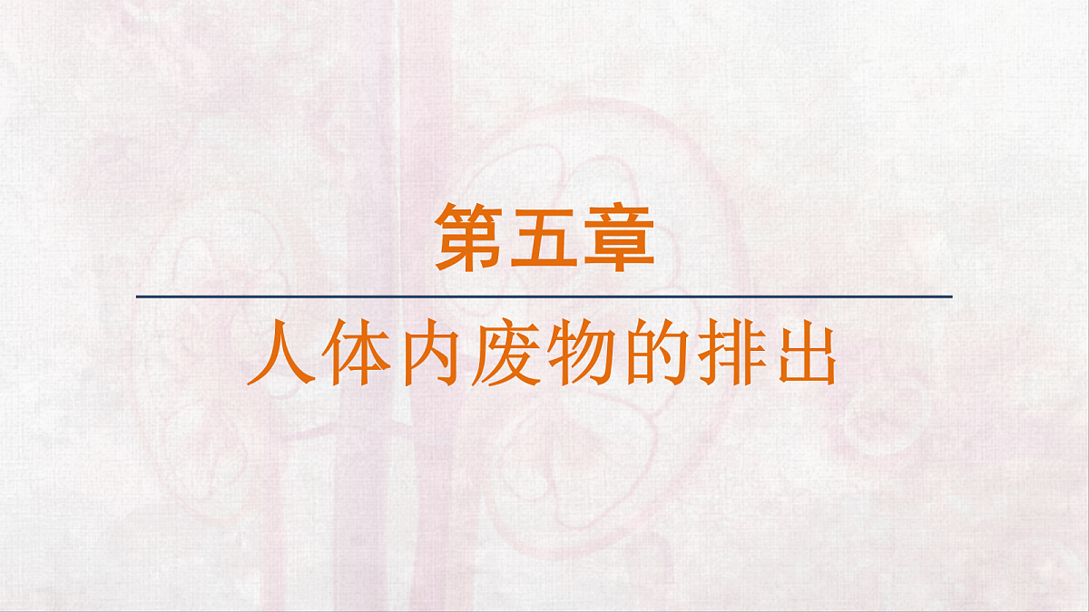 18263603第1页