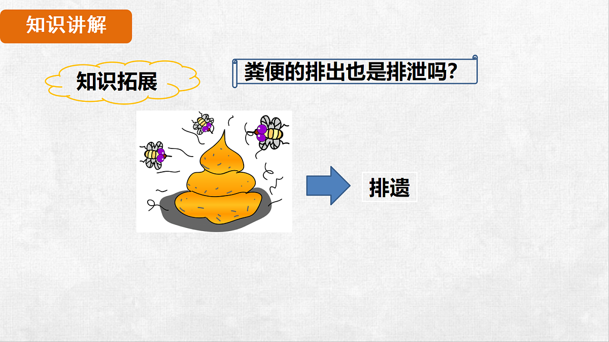 18263603第5页
