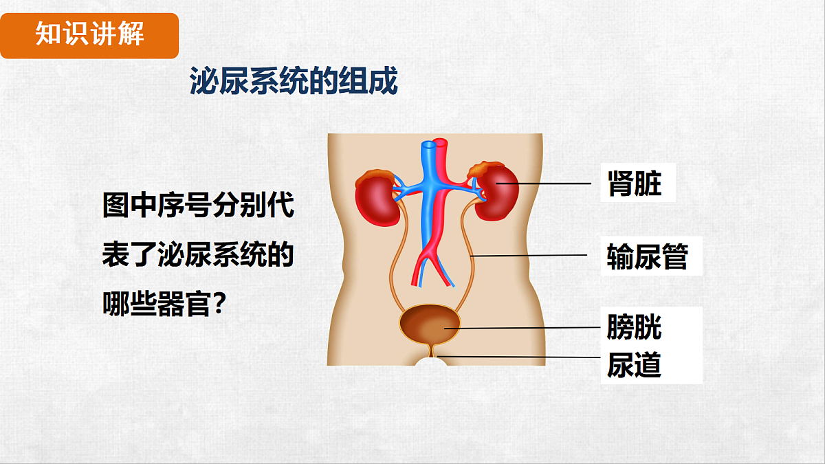 18263603第6页