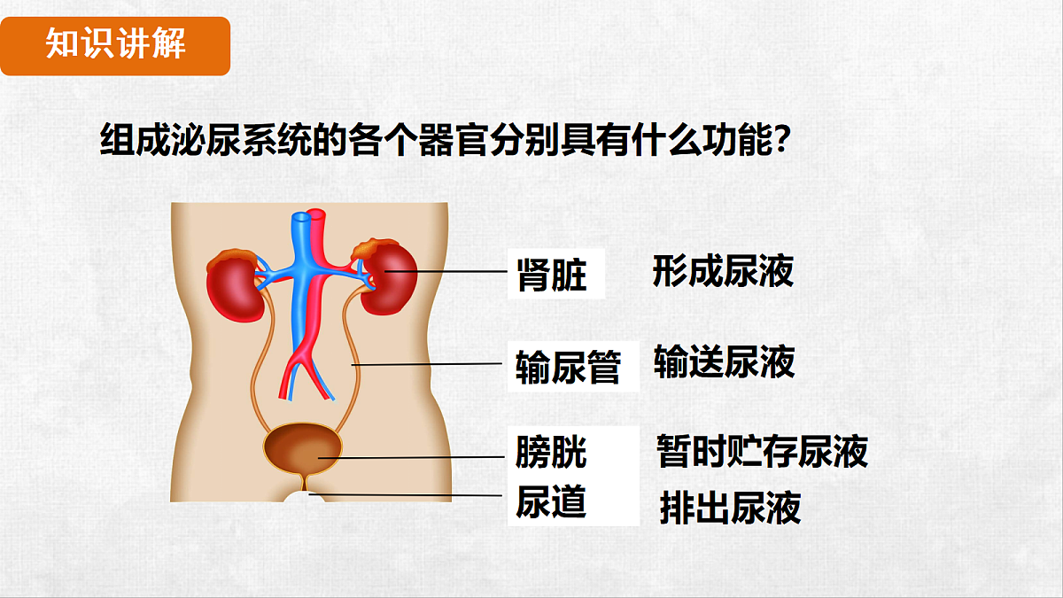 18263603第7页