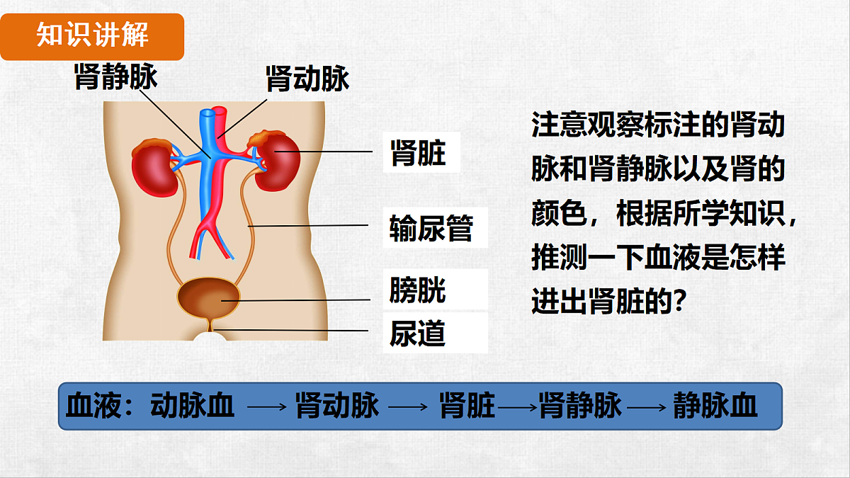18263603第8页