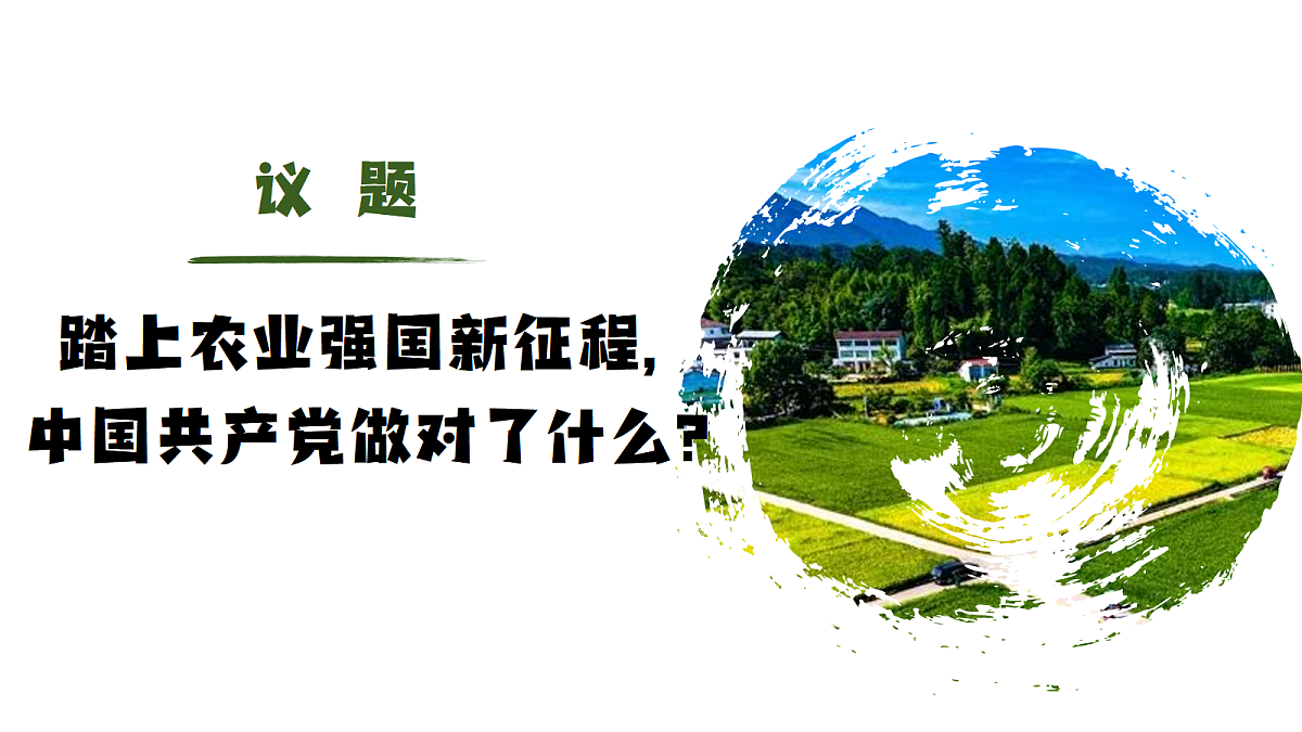 18264040第4页