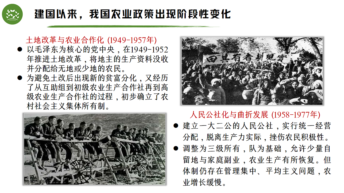 18264040第5页