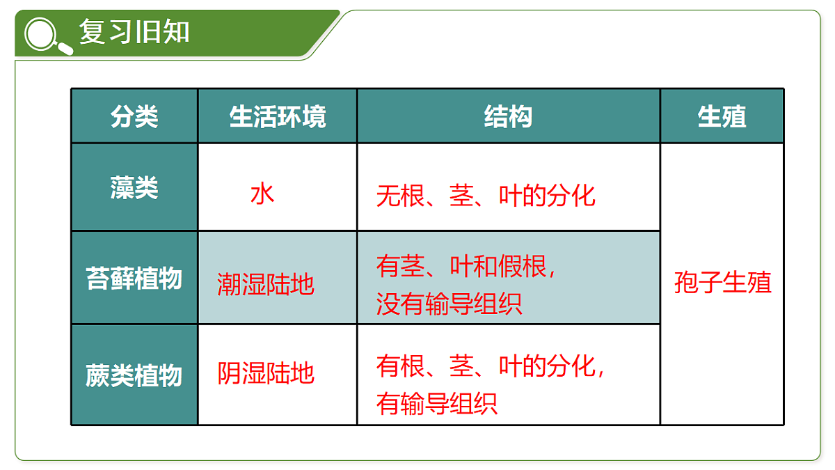 18264129第1页