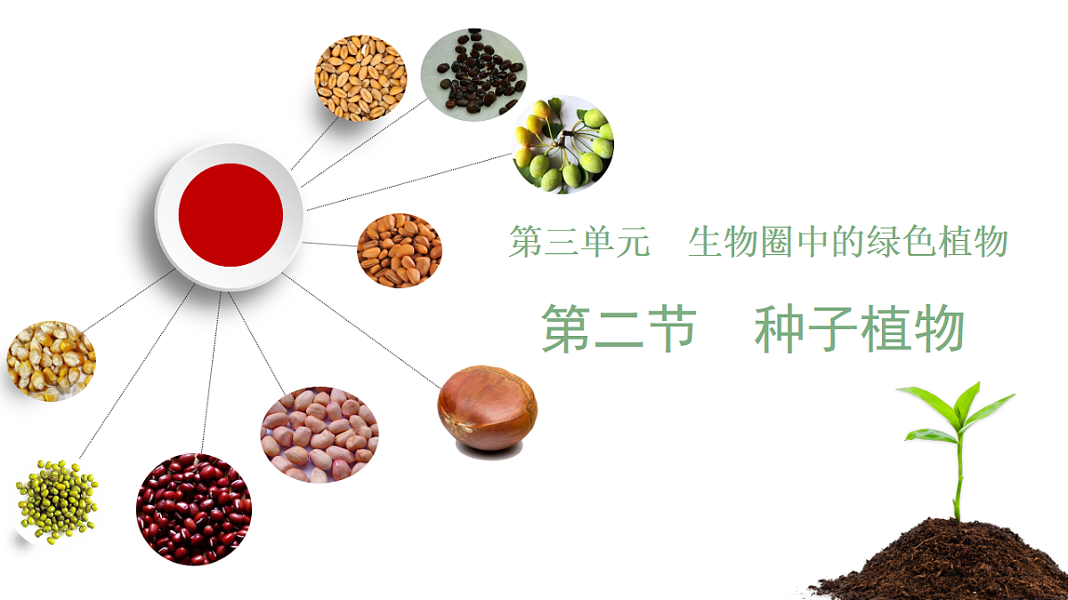 18264129第2页