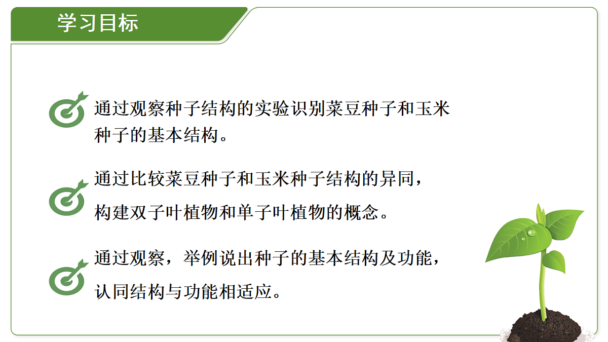 18264129第3页