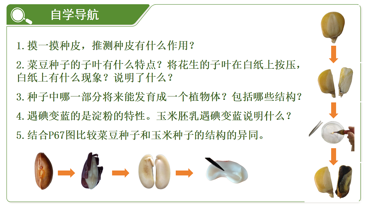 18264129第5页