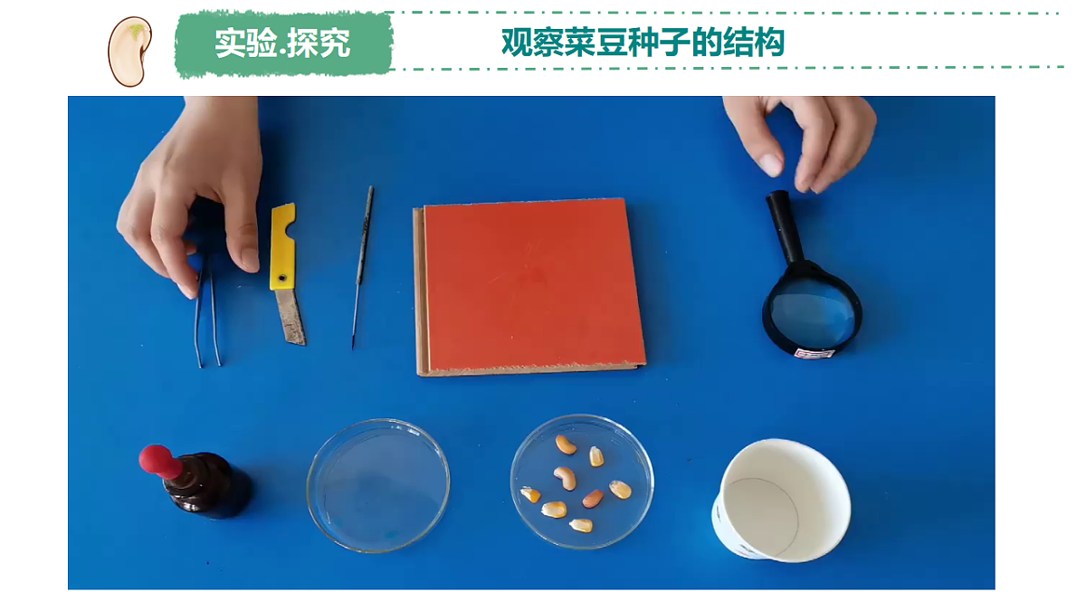 18264129第7页