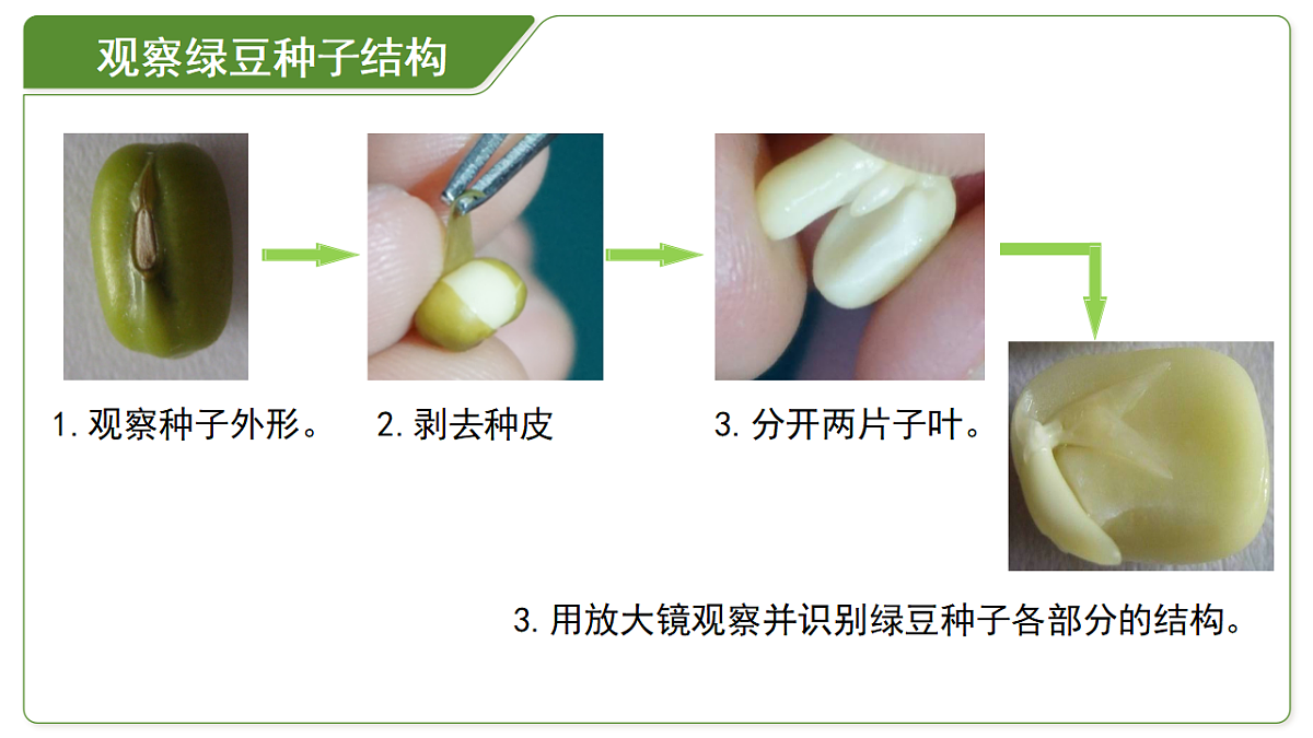 18264129第8页