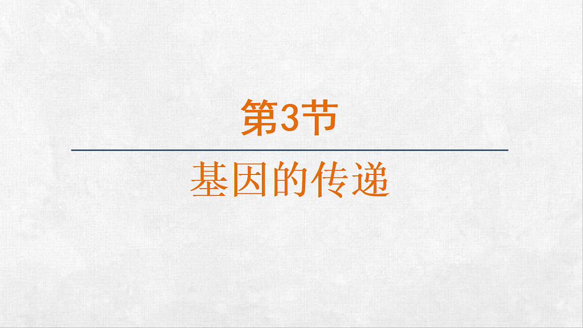 18264253第1页