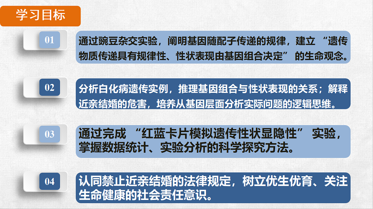 18264253第2页