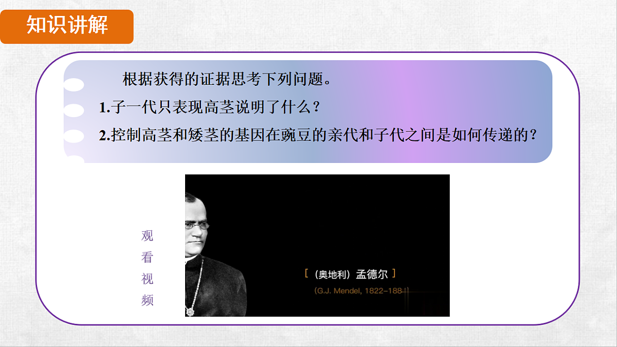 18264253第5页