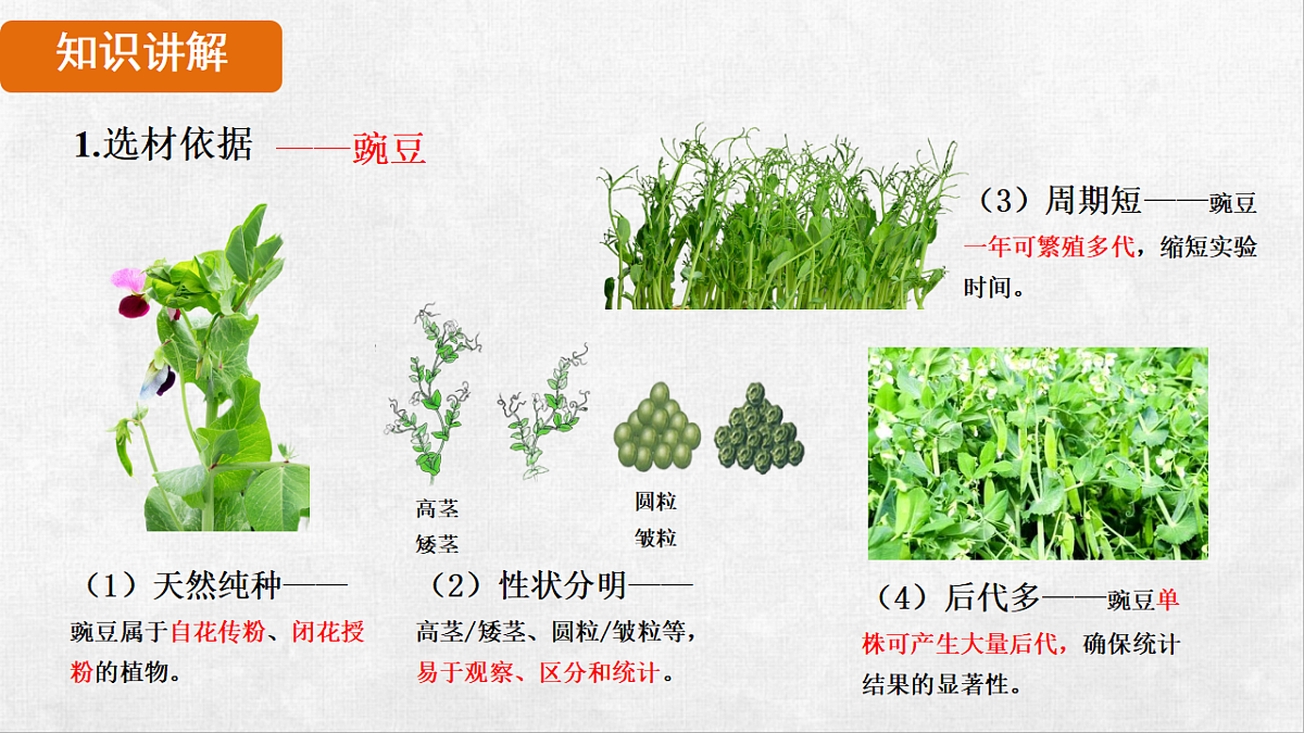 18264253第6页