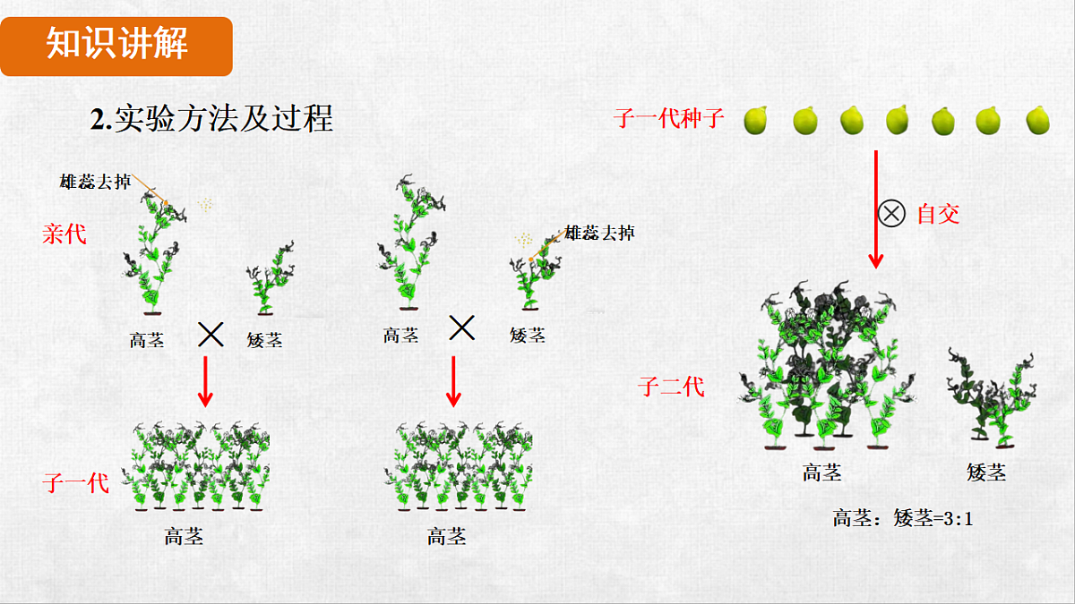 18264253第7页