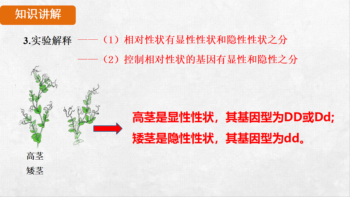 18264253第8页