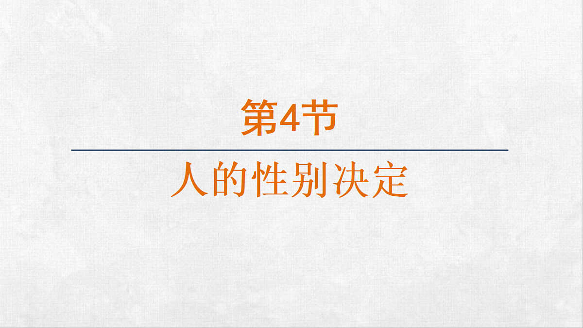 18264254第1页