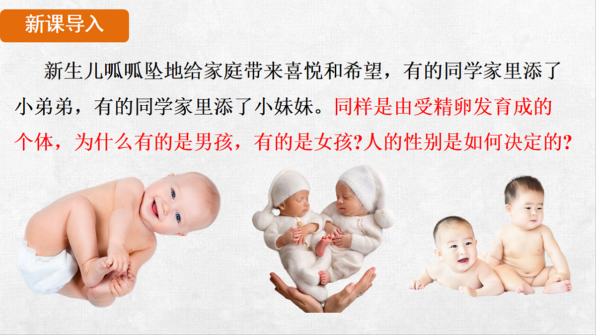 18264254第3页