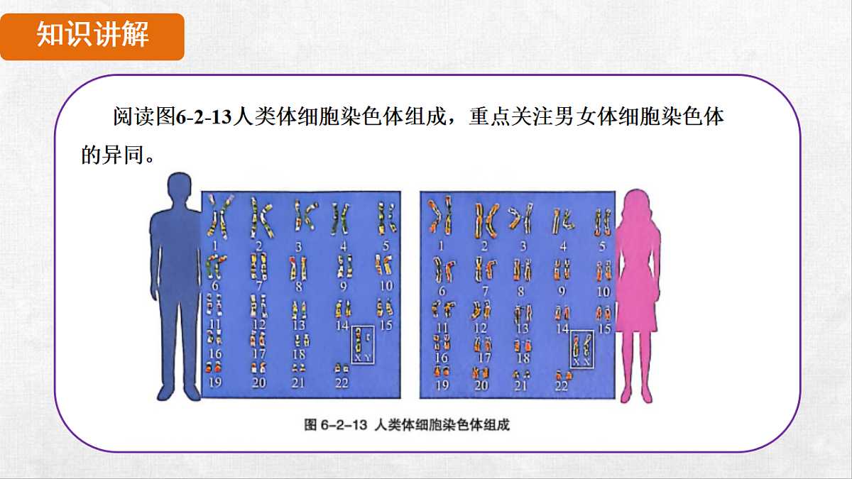 18264254第4页