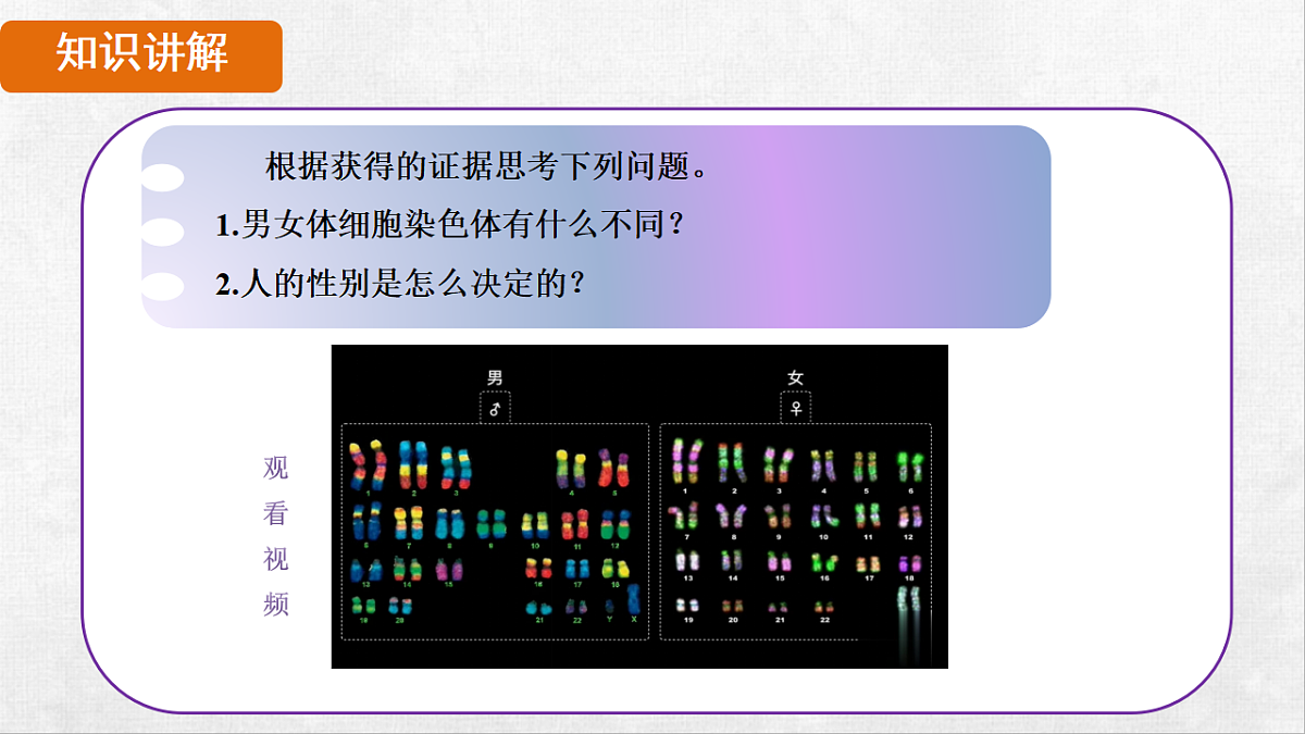 18264254第5页