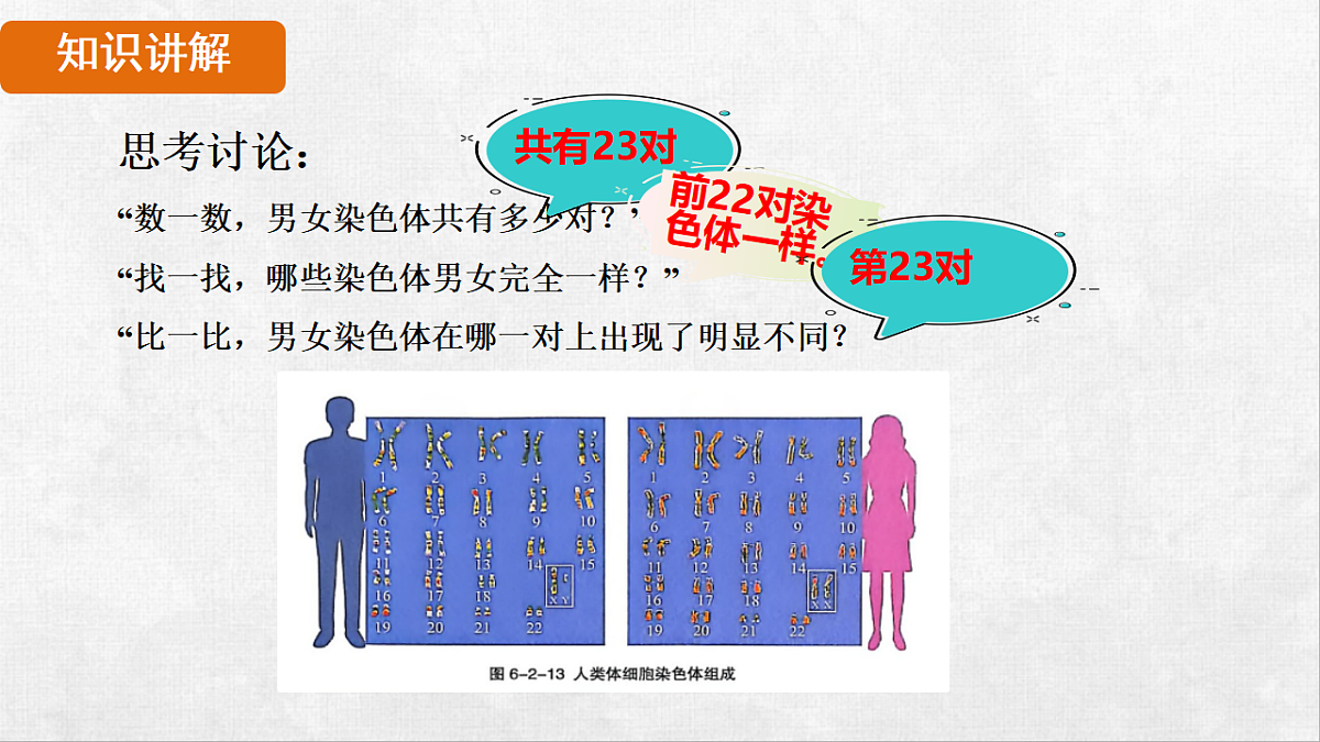 18264254第6页