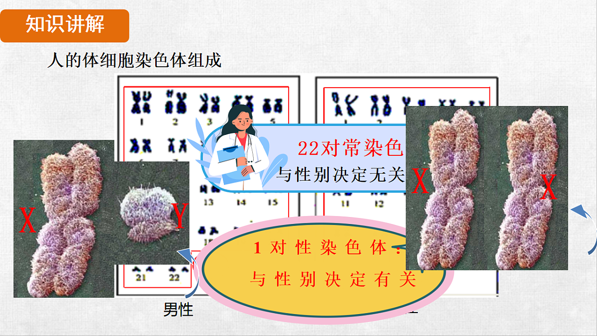 18264254第7页