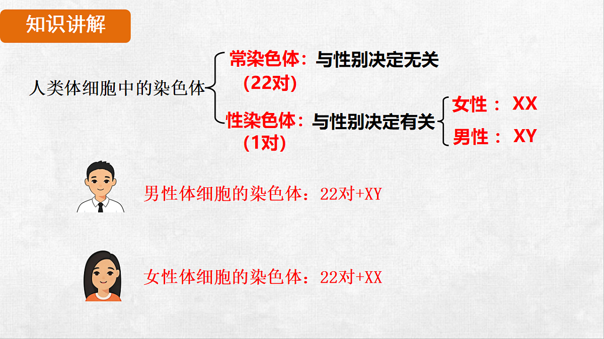 18264254第8页