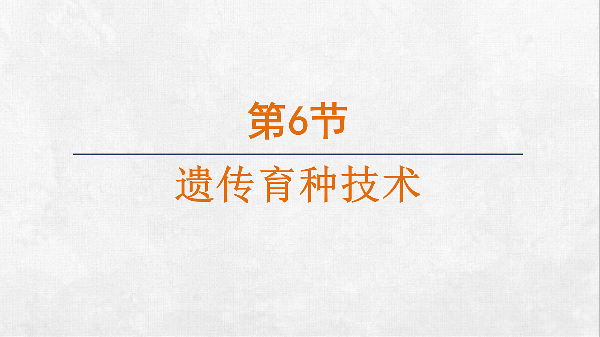 18264255第1页