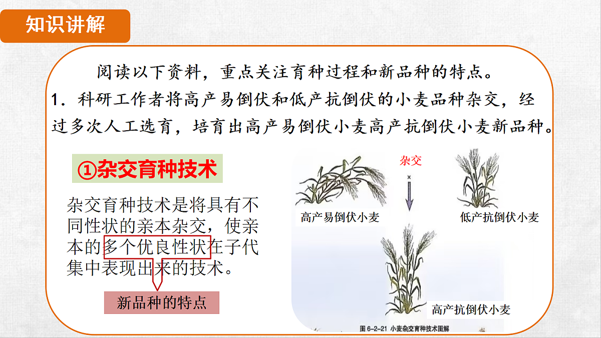 18264255第4页