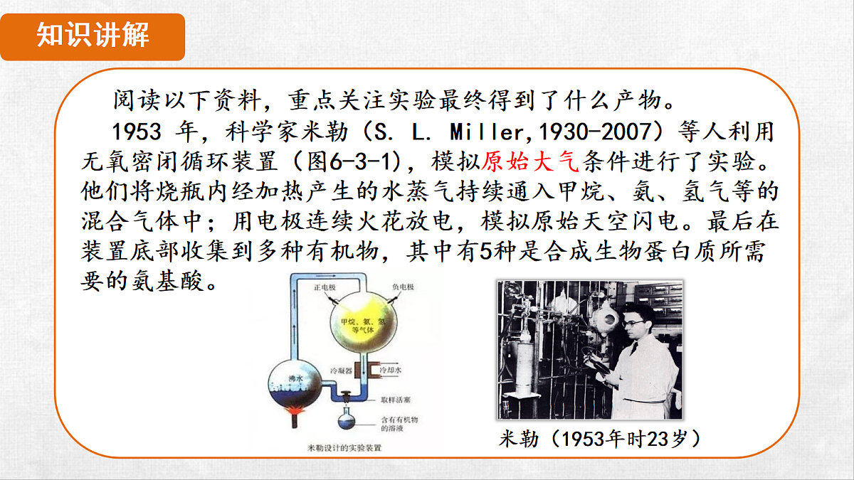 18264256第5页