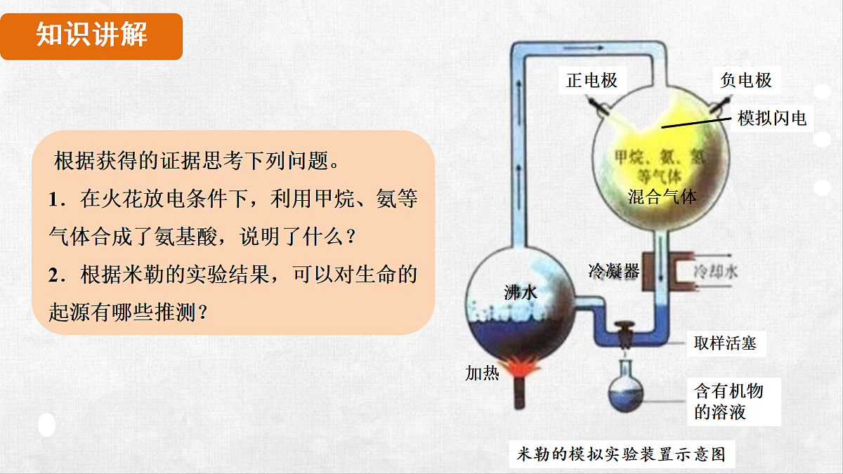 18264256第7页