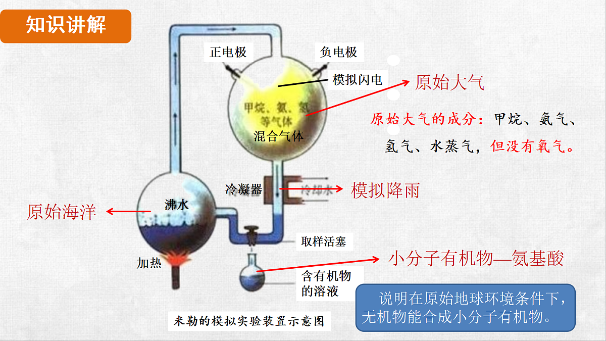 18264256第8页