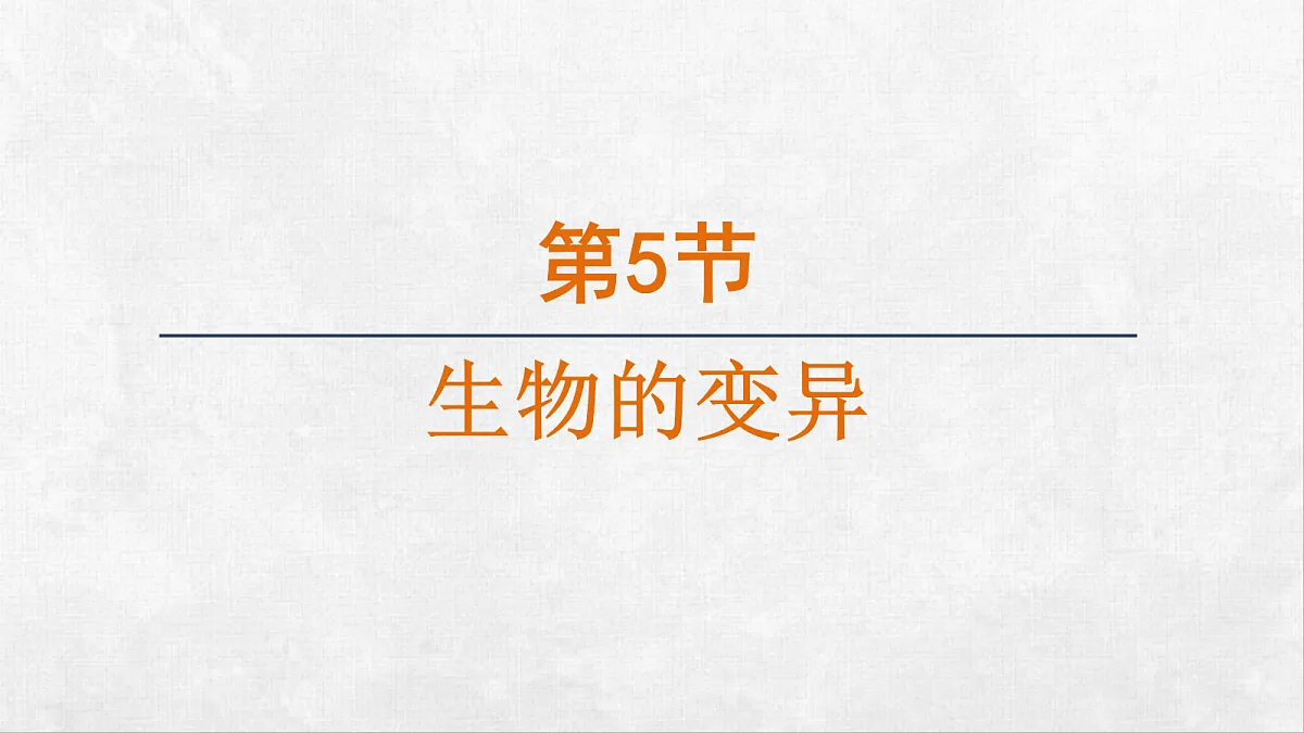 18264257第1页