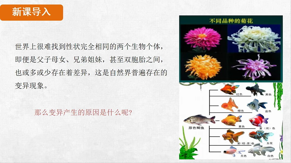 18264257第3页