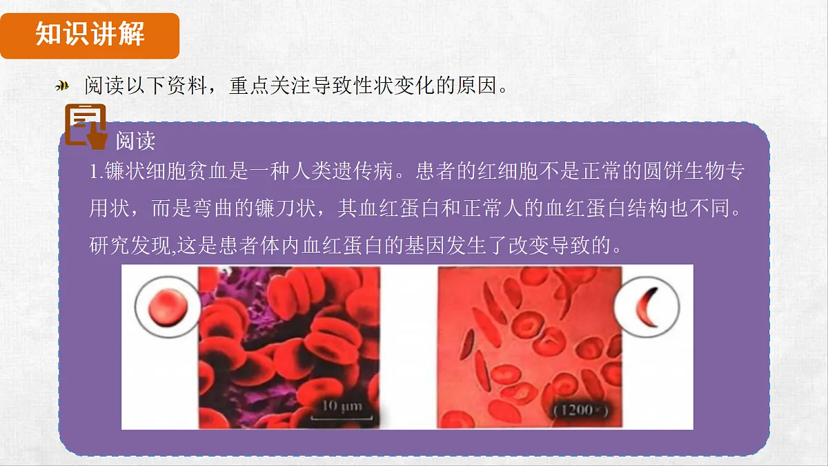 18264257第4页