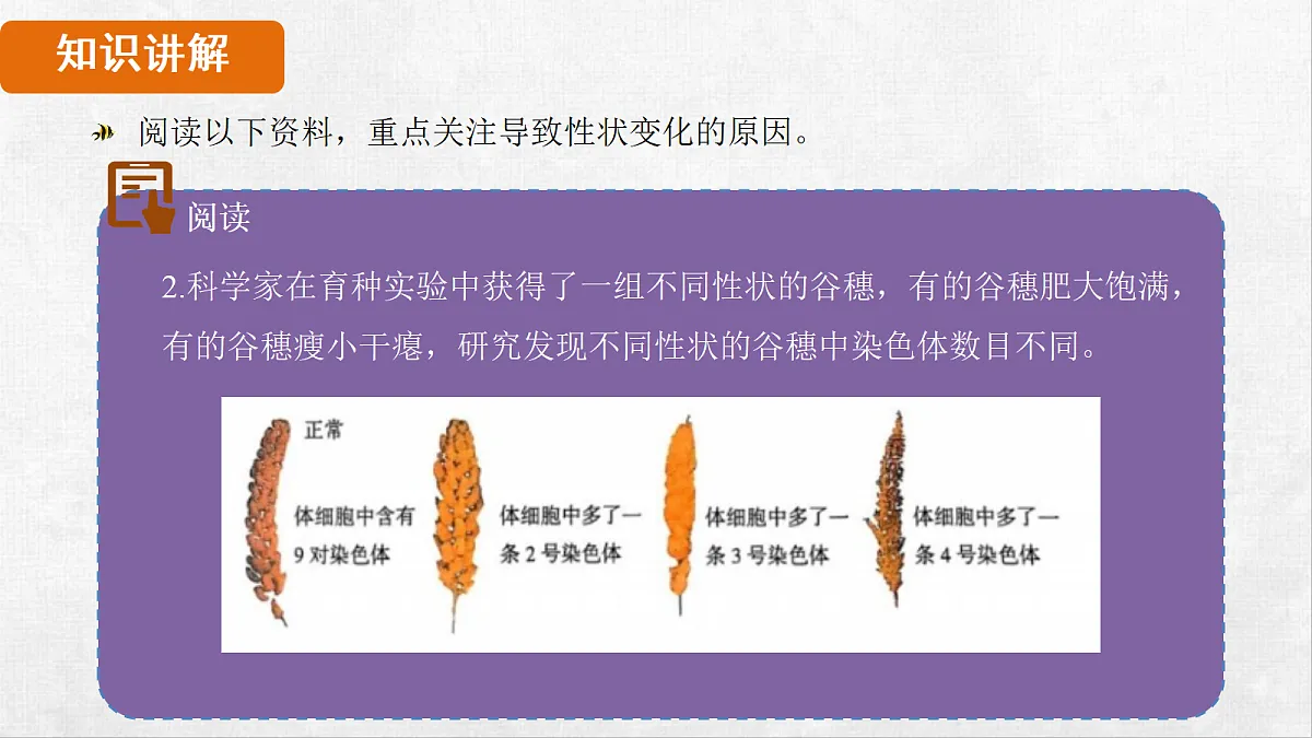 18264257第5页