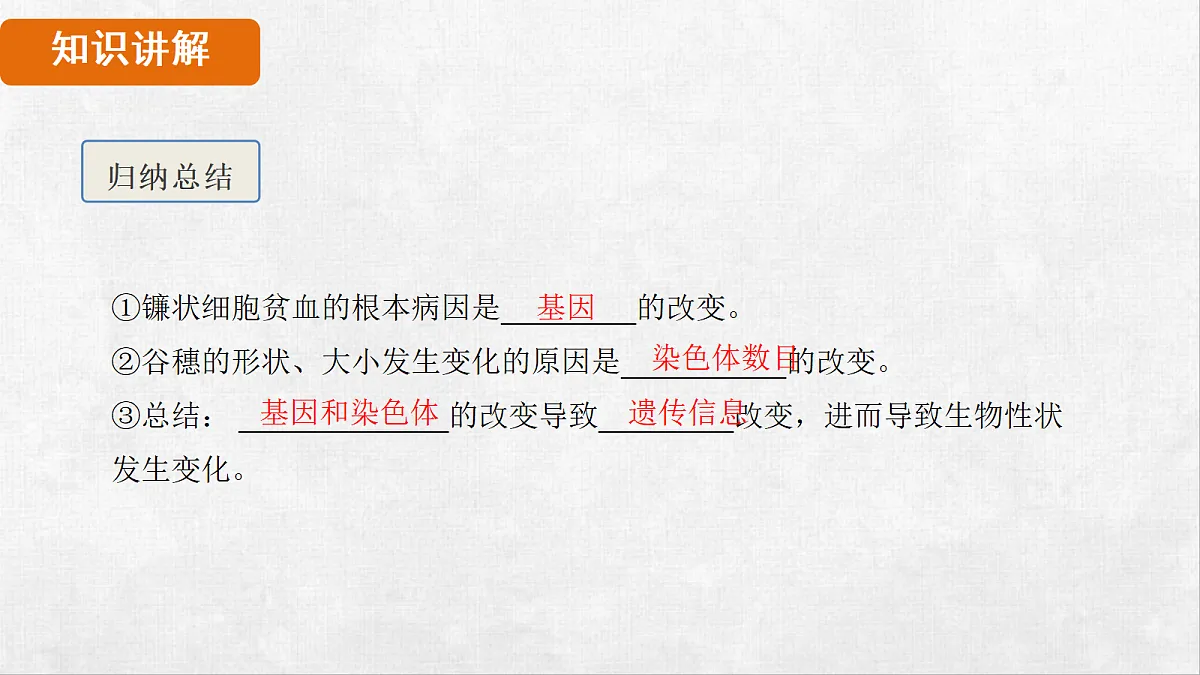 18264257第7页