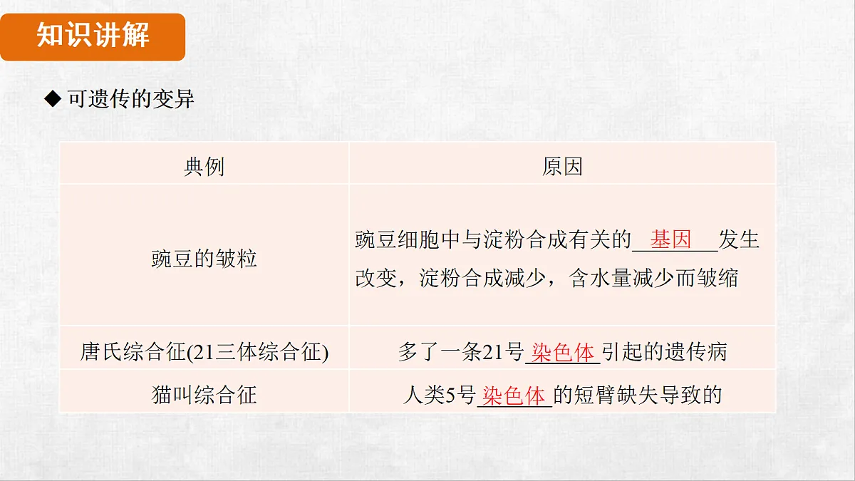 18264257第8页