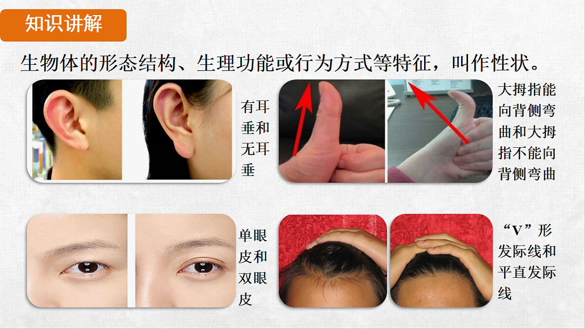 18264258第5页