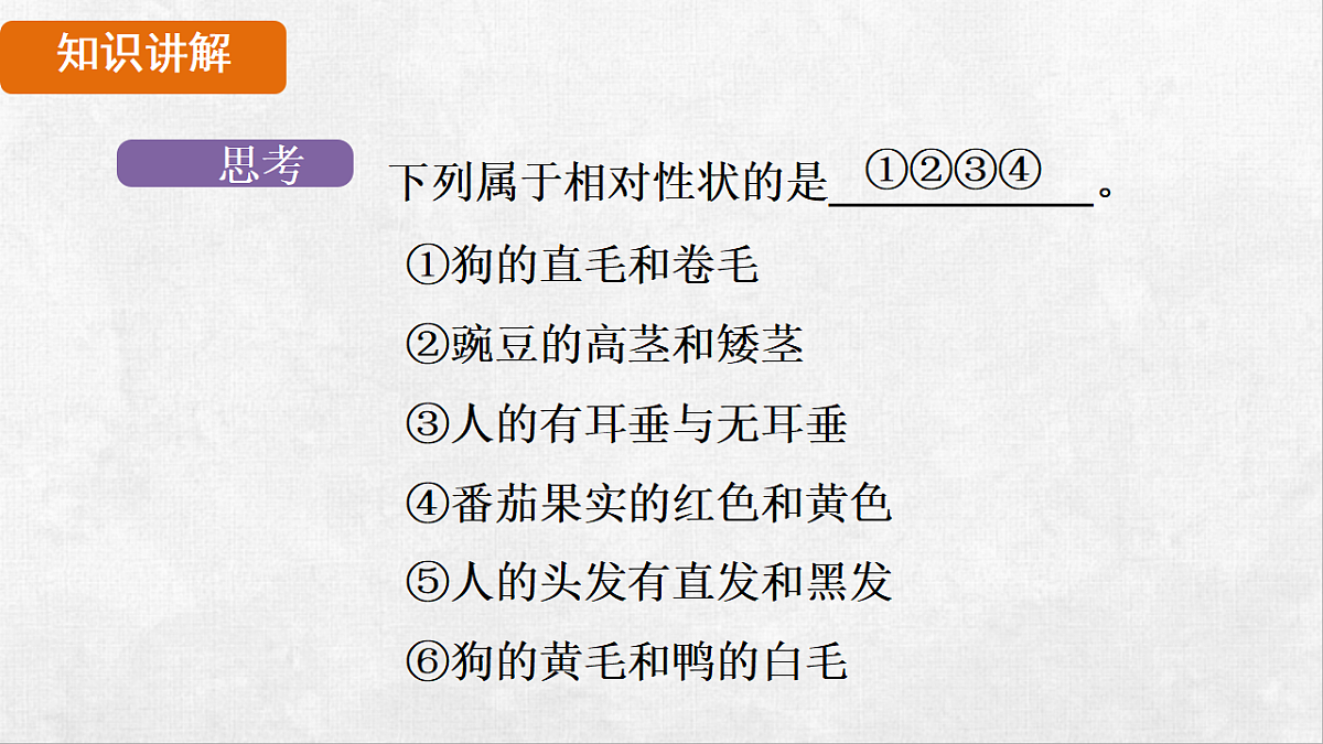 18264258第7页