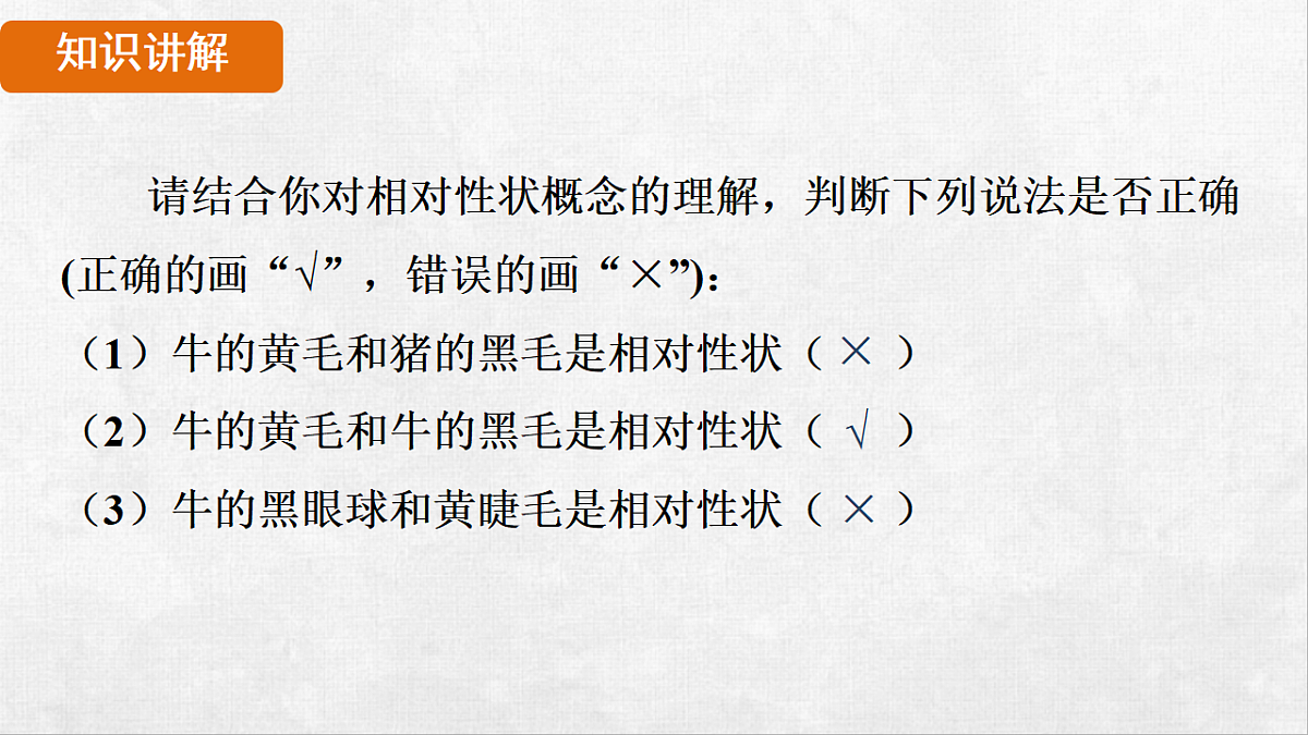 18264258第8页