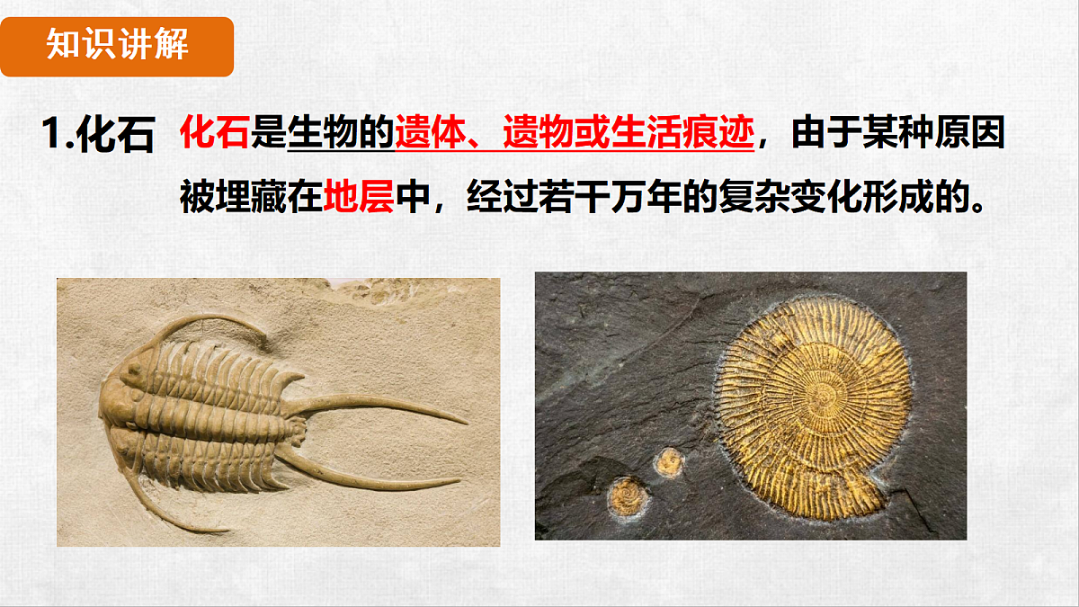 18264259第4页