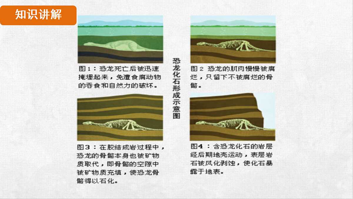 18264259第6页