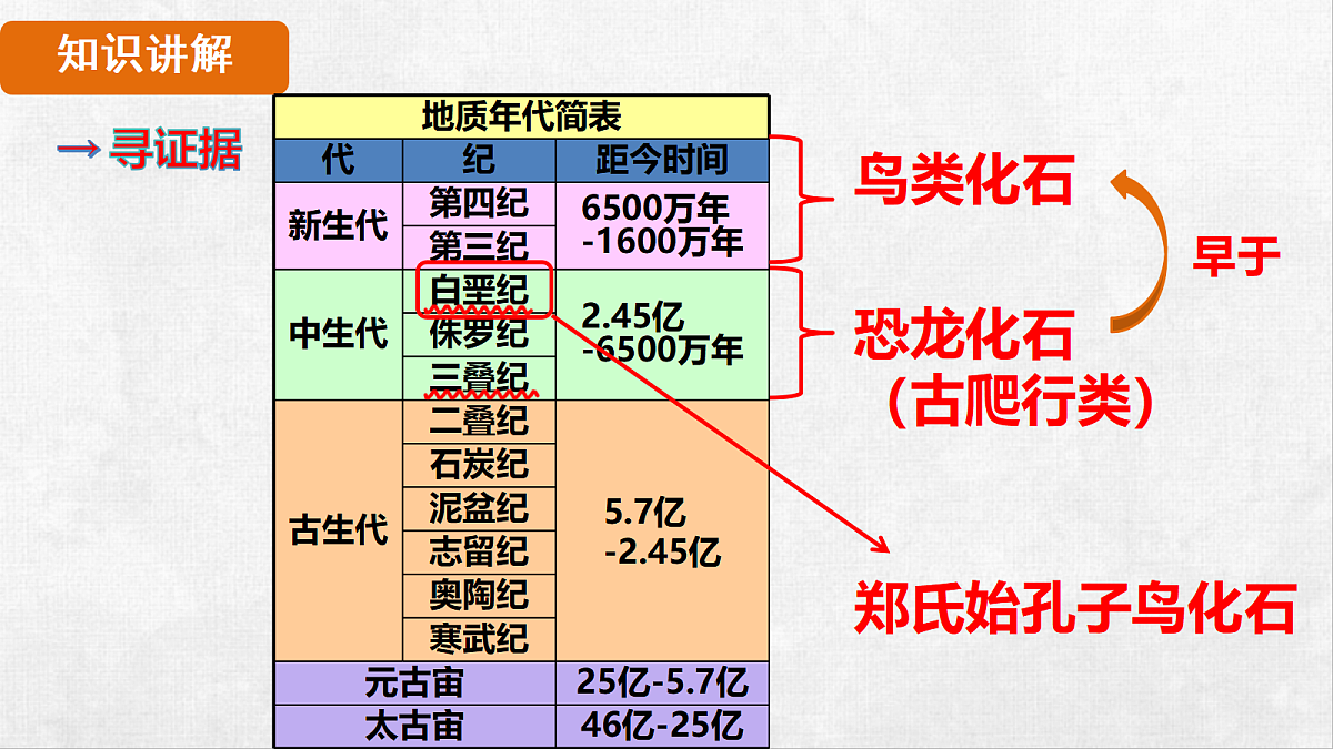 18264259第7页