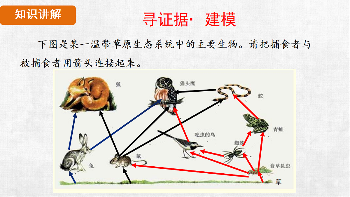 18264261第4页
