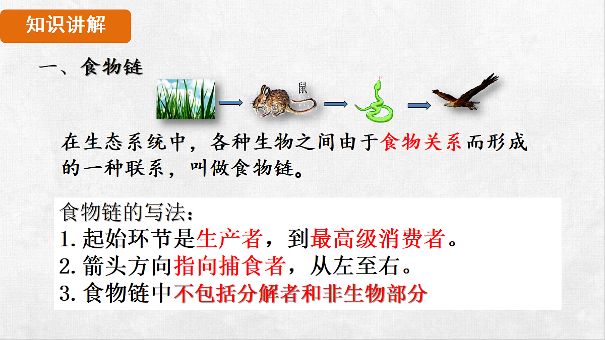 18264261第5页