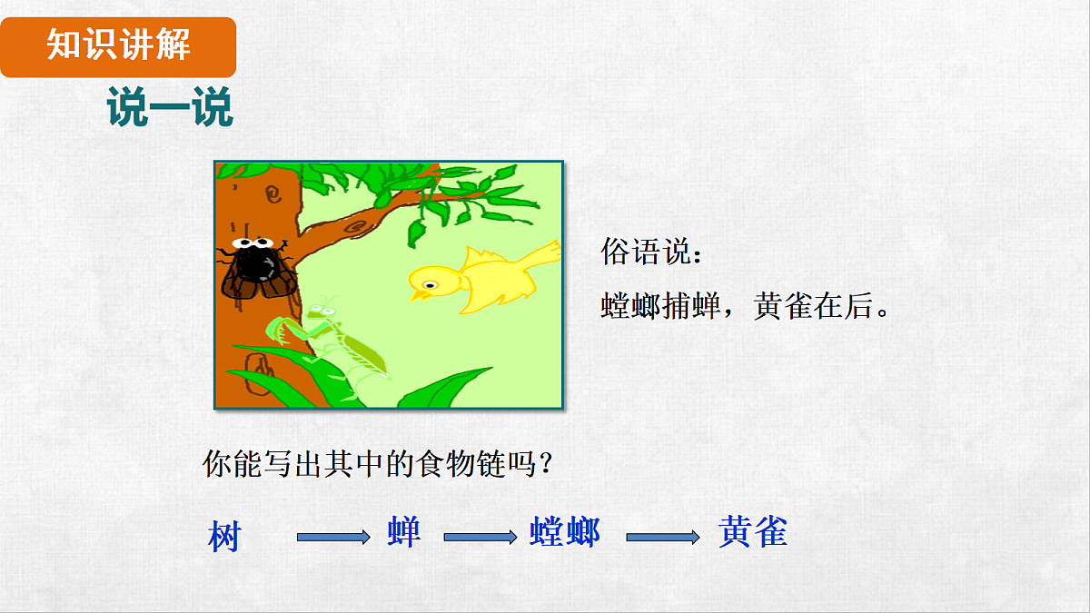 18264261第6页